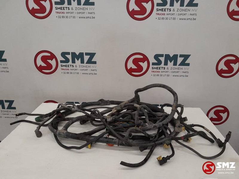 DAF Occ hoofdchassiskabelboom DAF - Кабели/ Провода для Грузовиков: фото 1 DAF Occ hoofdchassiskabelboom DAF - Кабели/ Провода для Грузовиков: фото 1