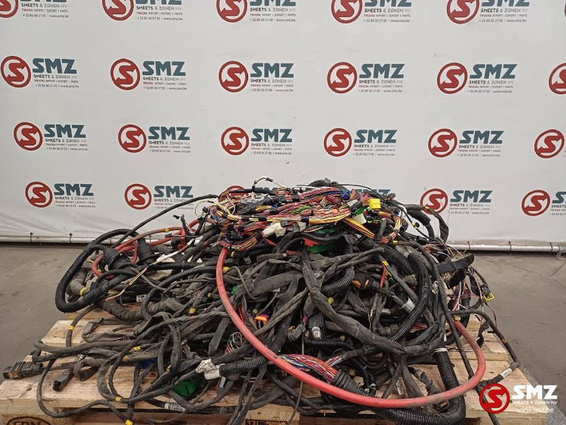 Renault Occ lot kabelbomen chassis + cabine Renault - Кабели/ Провода для Грузовиков: фото 1