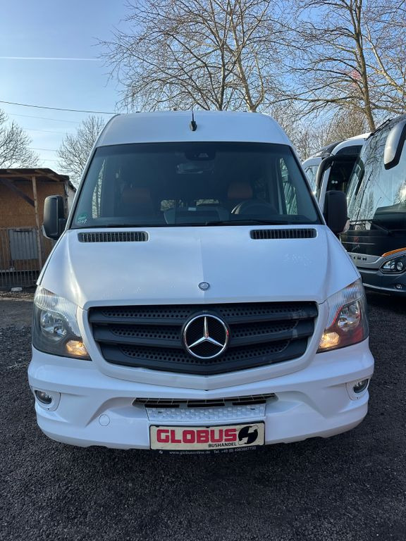 Mercedes-Benz Sprinter Altas 516 CDi Multiline (DE*AC*Reise)  в лизинг Mercedes-Benz Sprinter Altas 516 CDi Multiline (DE*AC*Reise): фото 8