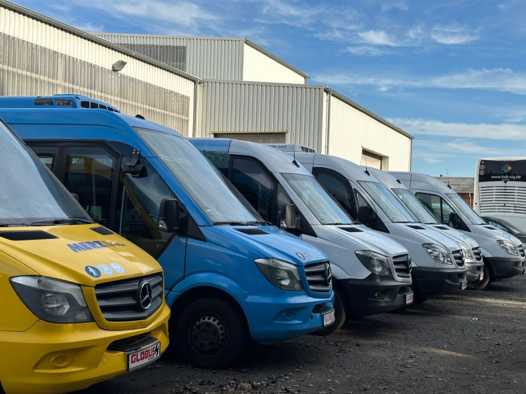 Mercedes-Benz Sprinter Altas 516 CDi Multiline (DE*AC*Reise)  в лизинг Mercedes-Benz Sprinter Altas 516 CDi Multiline (DE*AC*Reise): фото 19